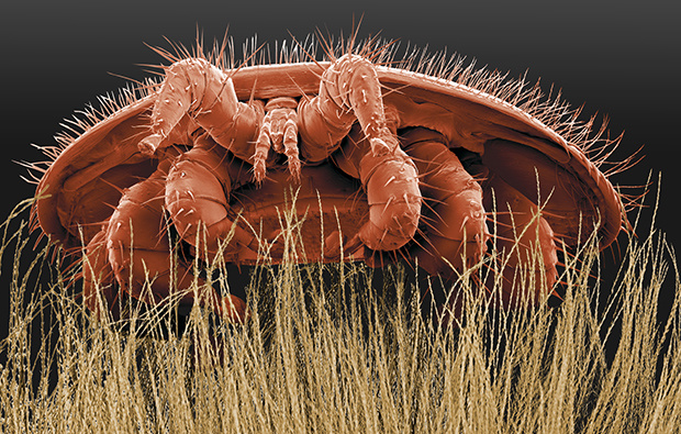 Cette image a un attribut alt vide ; son nom de fichier est image-14.png